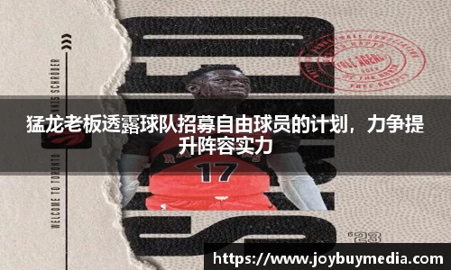 猛龙老板透露球队招募自由球员的计划，力争提升阵容实力